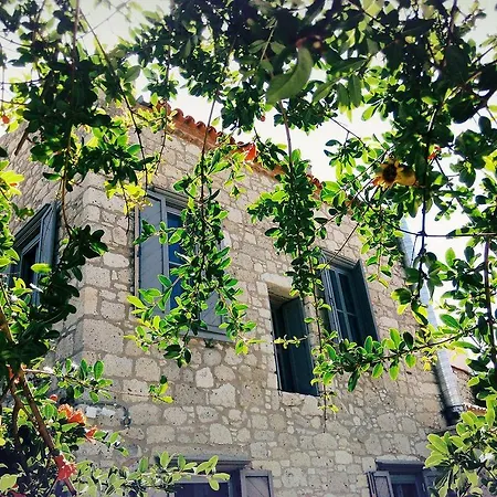 Sign Butik Hacimemis